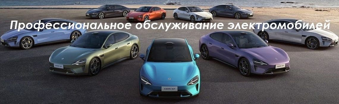 Профессиональное обслуживание электромобилей